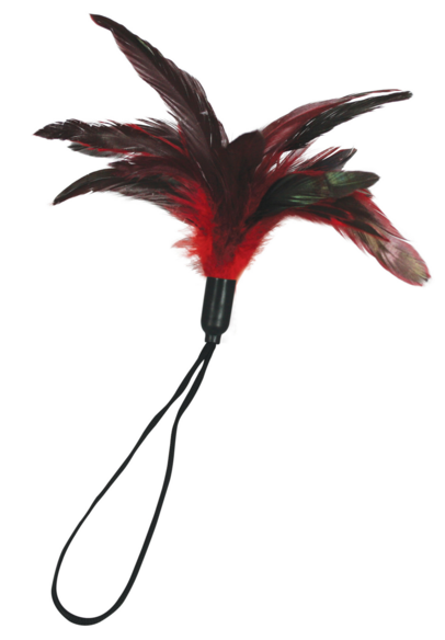 Sportsheets Pleasure Feather - Red Sportsheets Pleasure Feather - Red - UABDSM