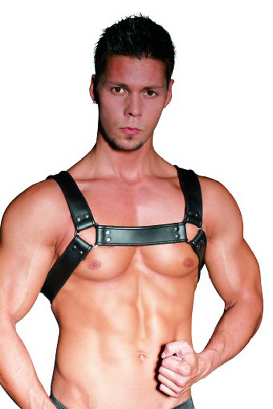 Leather Chest Harness - UABDSM