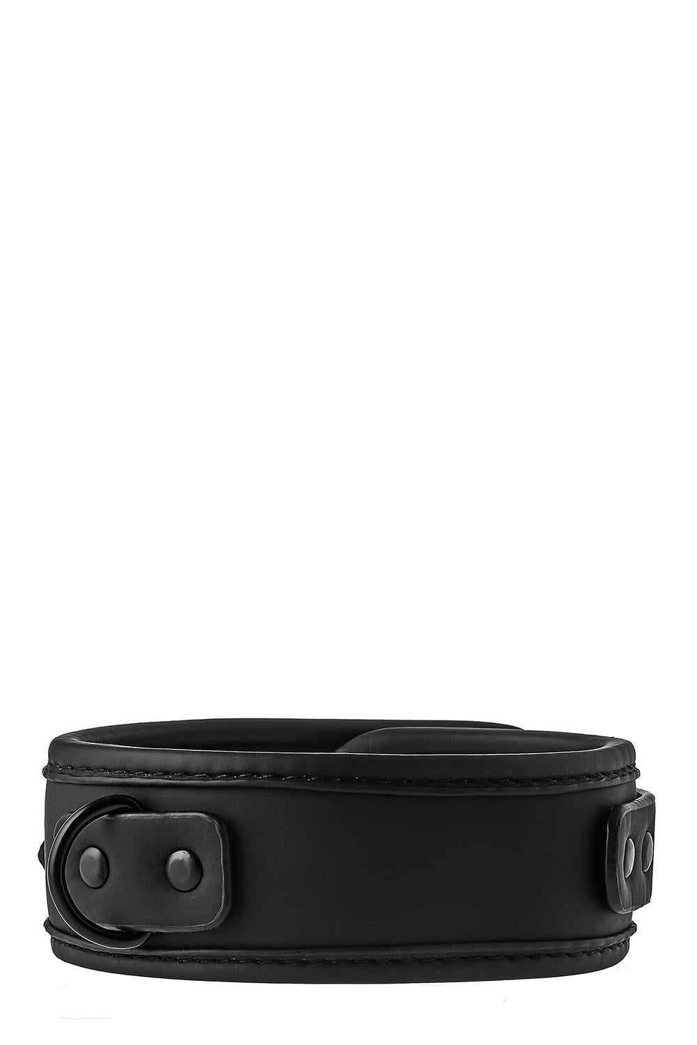 Blaze Collar And Leash Black