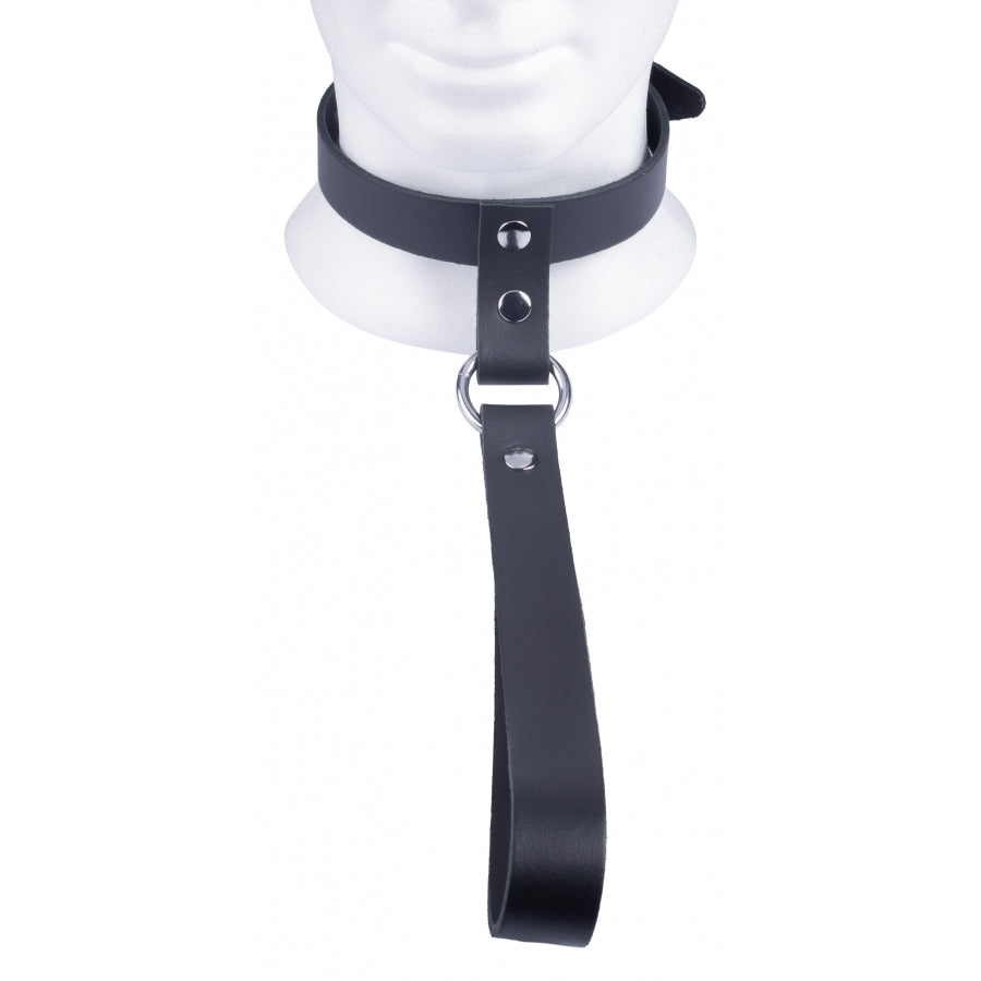 The Red Leather Collar with Short Leash - UABDSM