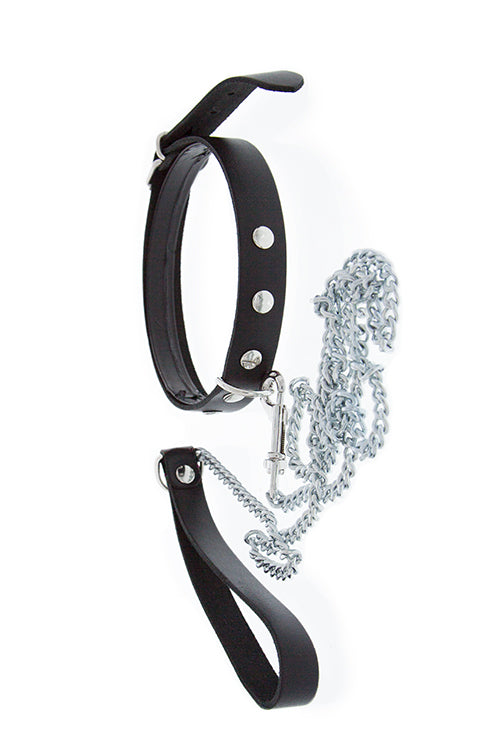 Gp Collar & Leash Gp Collar & Leash