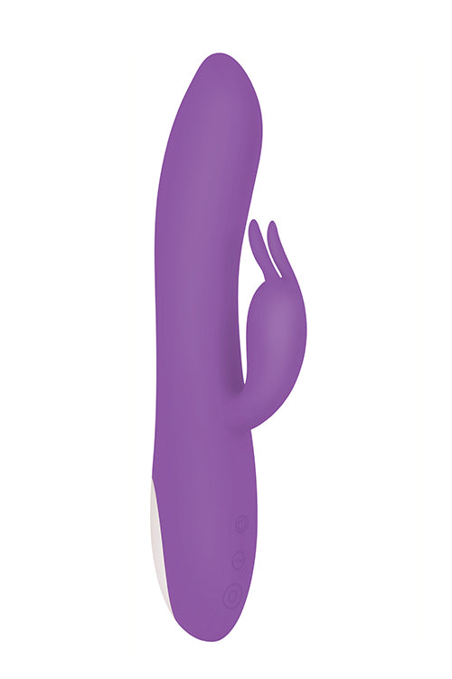 Romantic Rabbit Purple Romantic Rabbit Purple