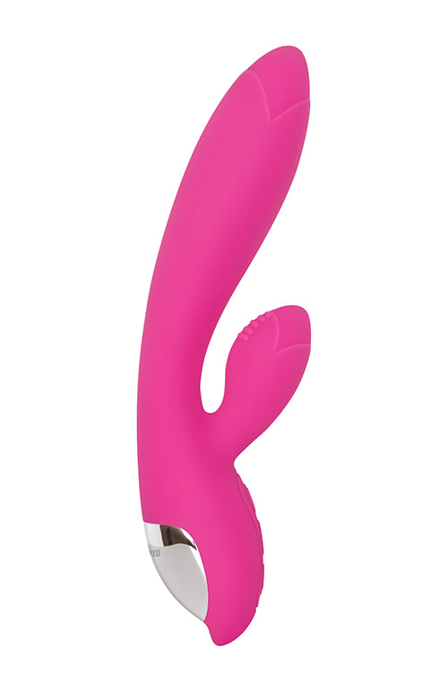 Tantalizing Tulip Pink Tantalizing Tulip Pink