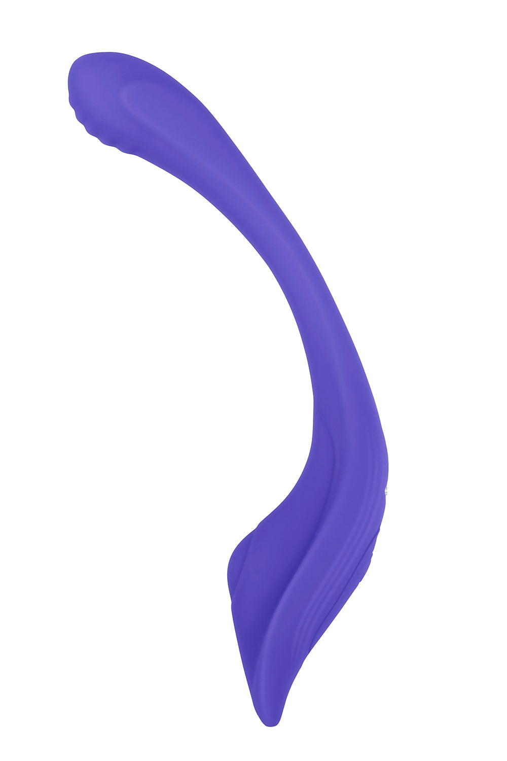 Evolved Anywhere Vibe