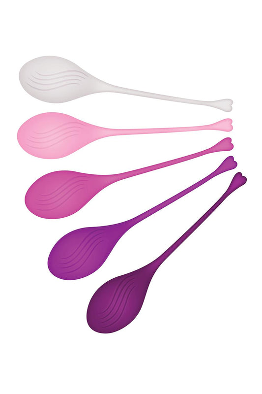 Evolved Tight & Delight Evolved Tight & Delight