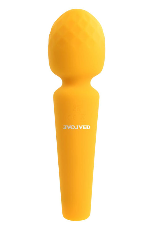 Evolved Sunshine Evolved Sunshine