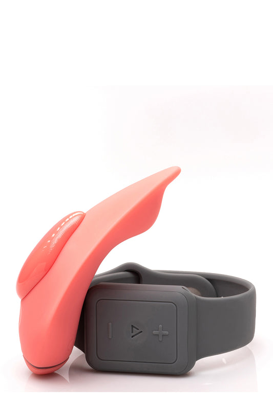 Companion Coral Companion Coral