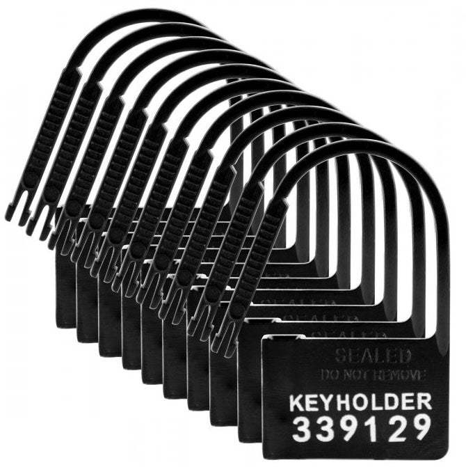 Master Series 10 Pack of Locks for Chastity Devices - UABDSM