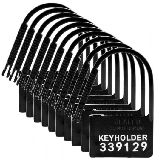 Master Series 10 Pack of Locks for Chastity Devices Master Series 10 Pack of Locks for Chastity Devices - UABDSM