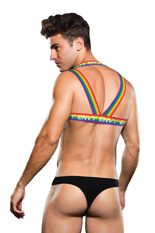 Rainbow Harness L/xl