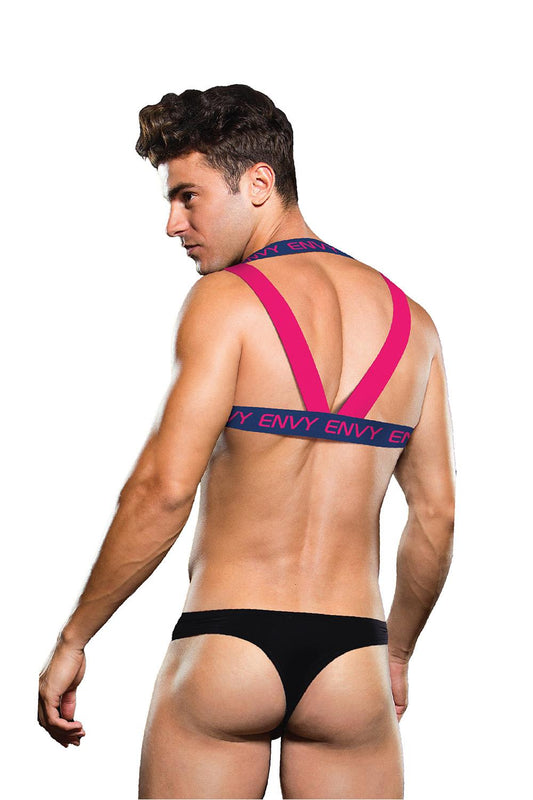 Envy Logo Harness Blue Pink S/m