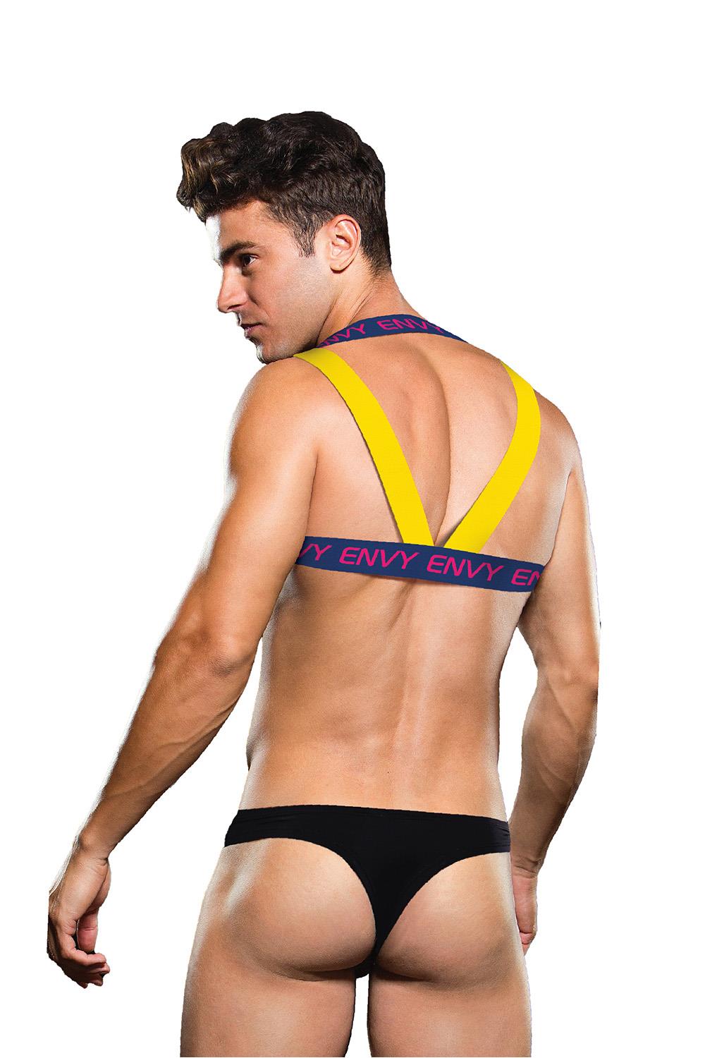 Envy Logo Harness Blue Yellow S/m