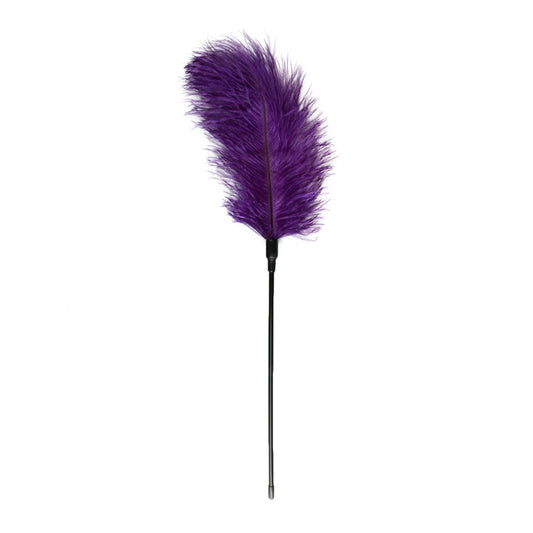 Purple Feather Tickler Purple Feather Tickler - UABDSM