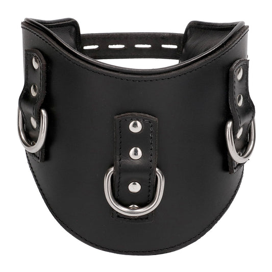 Heavy Duty Black Leather Padded Posture Collar - UABDSM