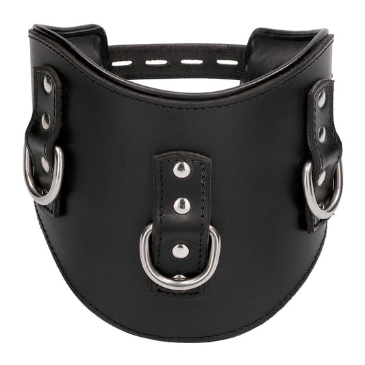 Heavy Duty Black Leather Padded Posture Collar Heavy Duty Black Leather Padded Posture Collar - UABDSM