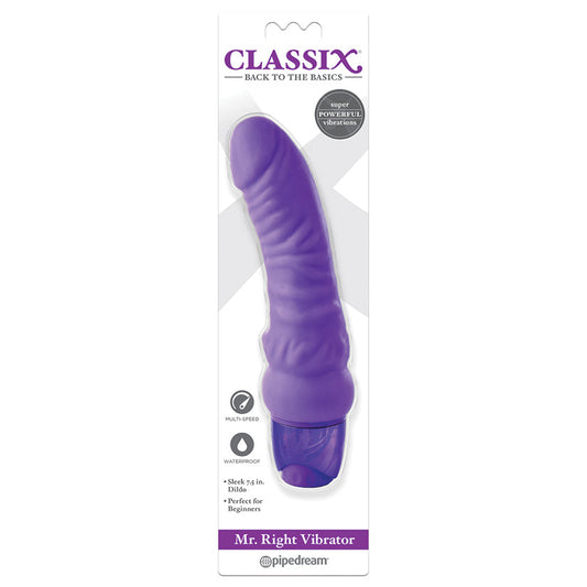 Mr. Right Vibrator - Purple Mr. Right Vibrator - Purple - UABDSM