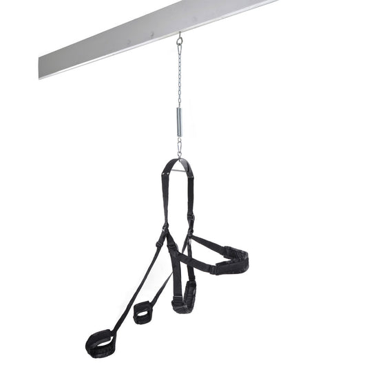 Fetish Fantasy Fantasy Swing - UABDSM