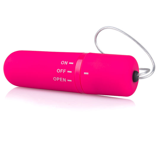 Screaming O My Secret Remote Panty Set - UABDSM