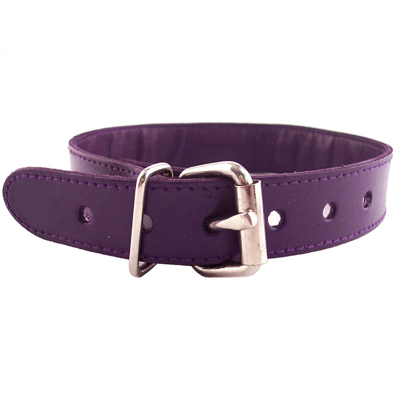 Rouge Garments Purple Studded O-Ring Studded Collar - UABDSM