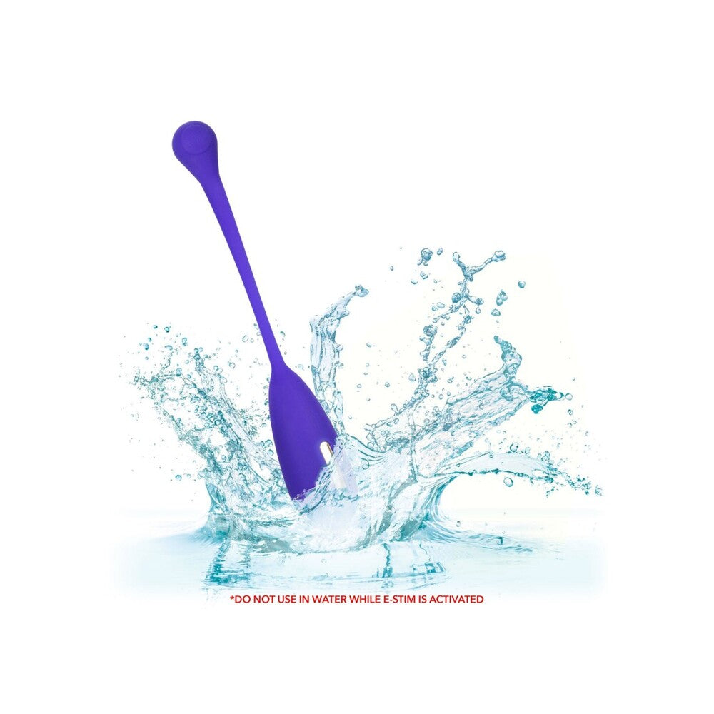 Impulse Intimate Estim Remote Kegel Exerciser - UABDSM