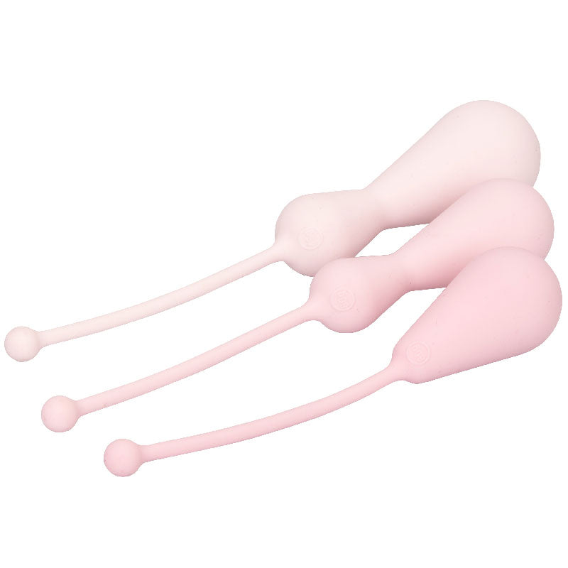 Inspire Weighted Silicone Kegel Training Kit - UABDSM