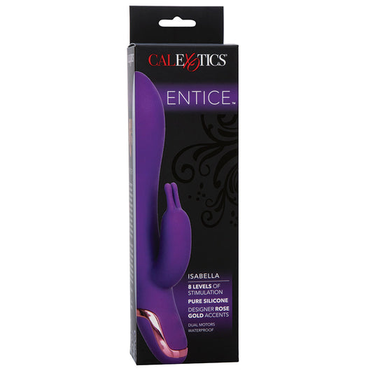 Entice Isabella - Purple Entice Isabella - Purple - UABDSM