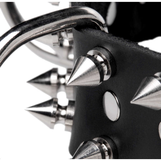Strict Leather Spiked Dog Collar - UABDSM