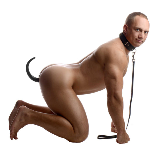 Sick Puppy Leash and Collar Kit - UABDSM