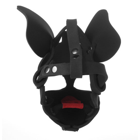 Neoprene Dog Hood with Removable Muzzle - UABDSM