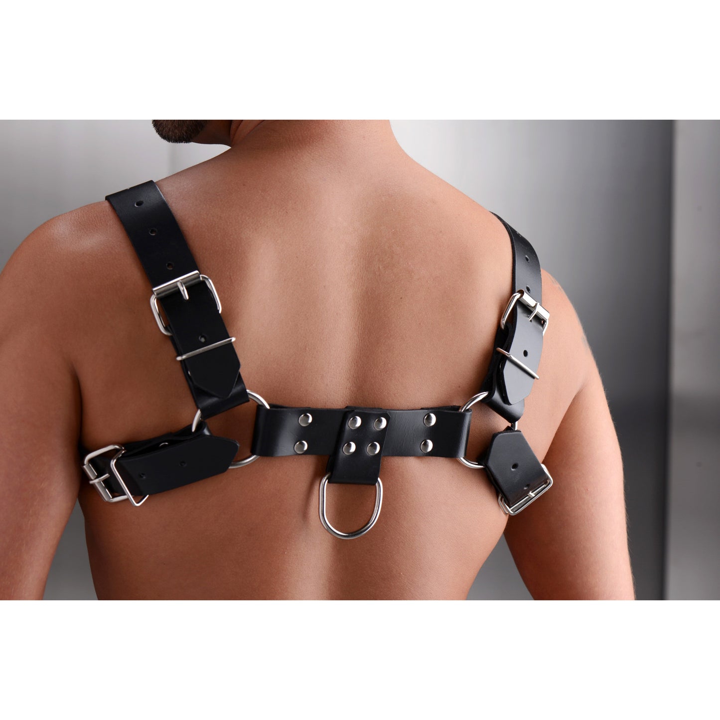English Bull Dog Harness - UABDSM