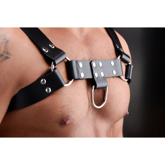 English Bull Dog Harness - UABDSM