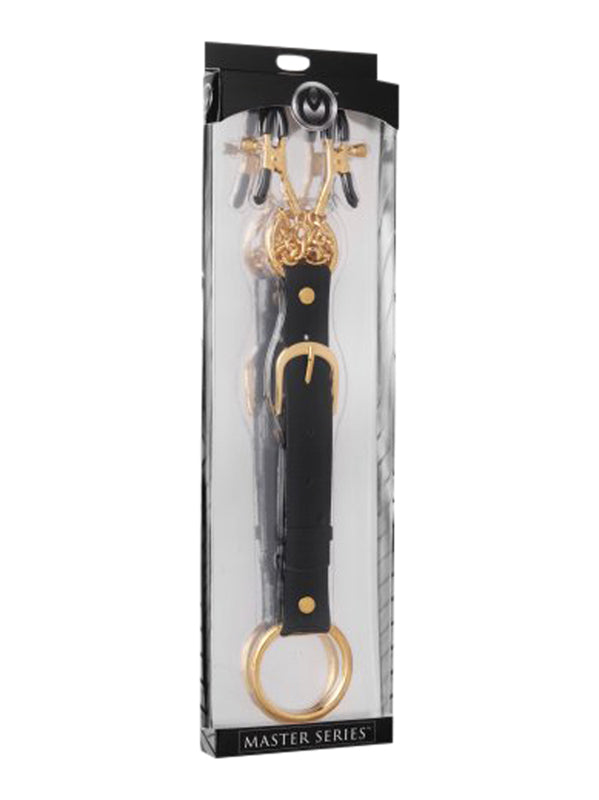 Penitentiary Nipple Clamps And Cock Ring Set - UABDSM