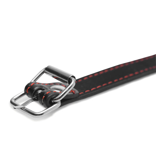 Hound Adjustable Dog Bone Gag - UABDSM