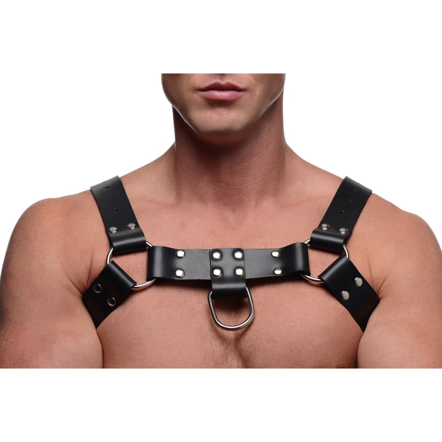 English Bull Dog Harness with Cock Strap - UABDSM