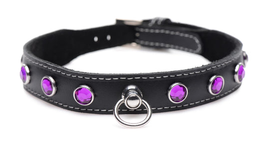 Royal Vixen Leather Choker with Rhinestones - Purple - UABDSM