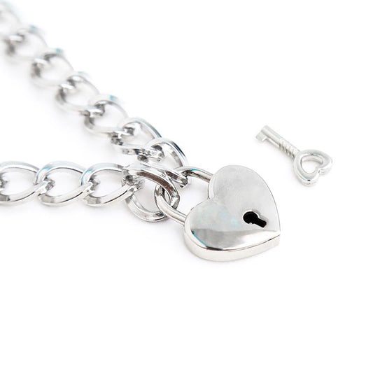 Collar with Lock Metal Size M 44 cm - UABDSM