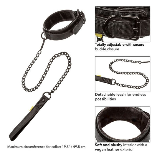 Calex Boundless Collar And Leash - UABDSM