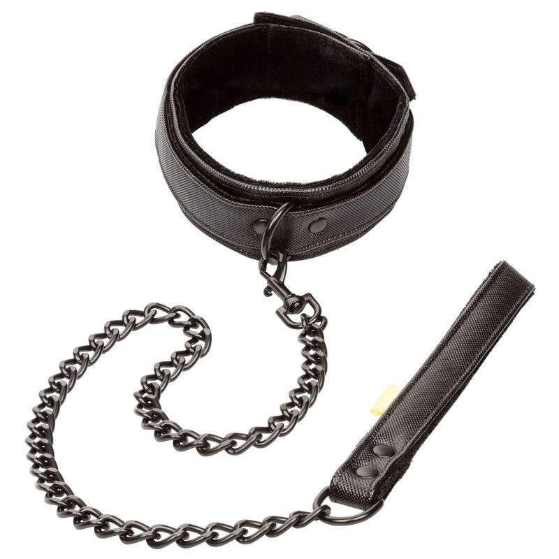 Calex Boundless Collar And Leash - UABDSM