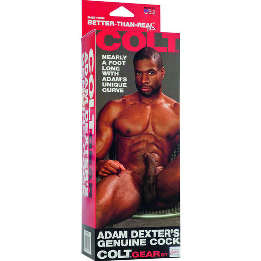 Colt Adam Dexters Cock - UABDSM