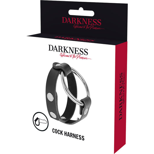 Darkness Penis Ring And Bdsm Tests - UABDSM