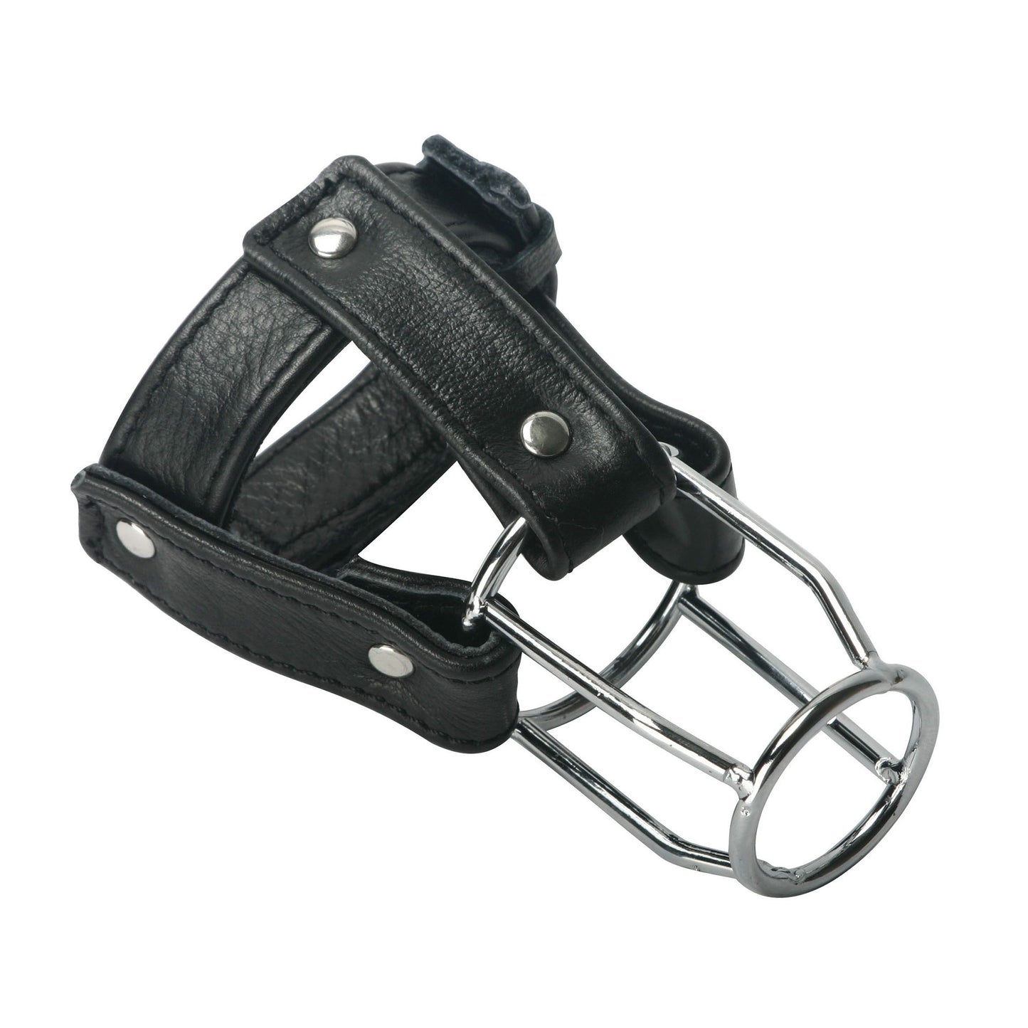 Strict Leather Stallion Guard - UABDSM