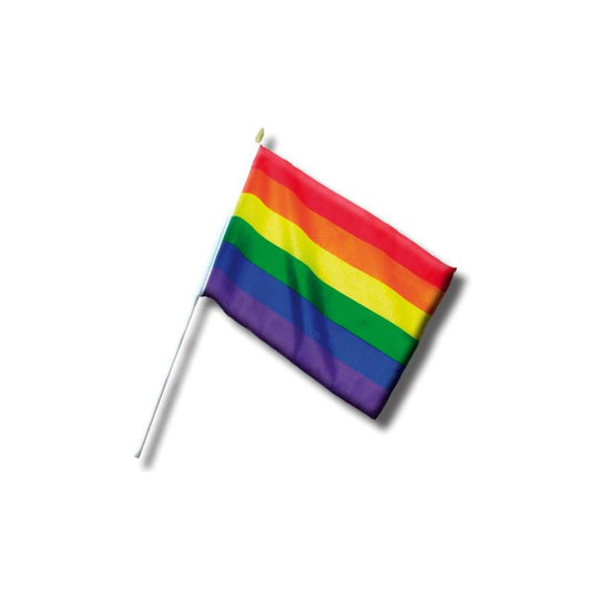 LGBT+ Pride Pennant Small 30 cm LGBT+ Pride Pennant Small 30 cm - UABDSM