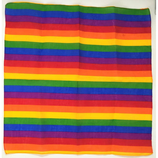 LGBT+ Pride Scarf LGBT+ Pride Scarf - UABDSM