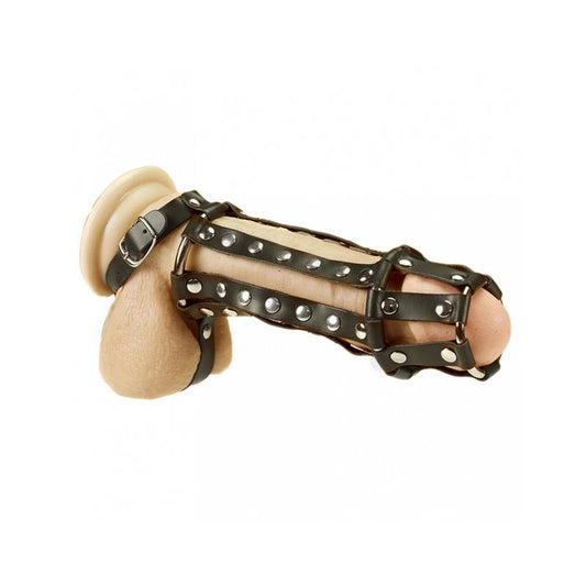 Penis and Ball Harness Penis and Ball Harness - UABDSM