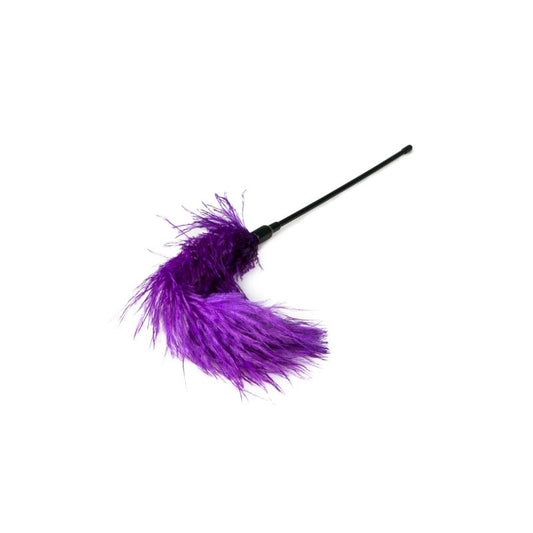 Purple Feather Tickler - UABDSM