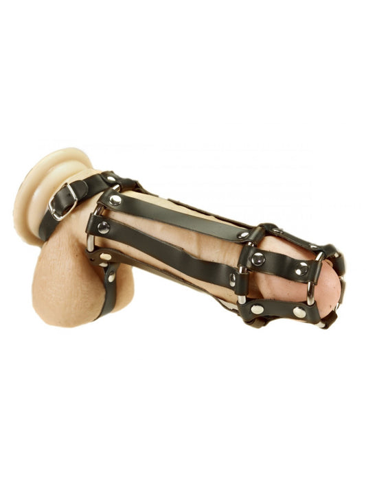 Rimba - Penis Tube With Ballstrap And Buckel Rimba - Penis Tube With Ballstrap And Buckel - UABDSM