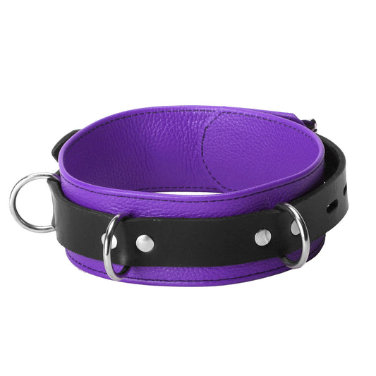 Strict Leather Deluxe Locking Collar - Purple and Black Strict Leather Deluxe Locking Collar - Purple and Black - UABDSM