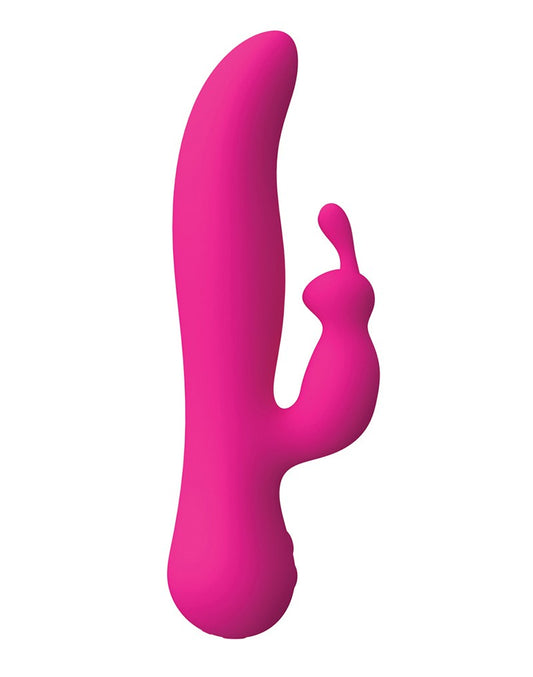 Swan - The Love Swan - The Love - UABDSM