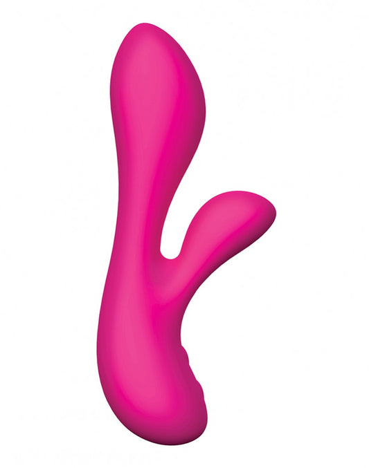 Swan - The Silver Swan Swan - The Silver Swan - UABDSM