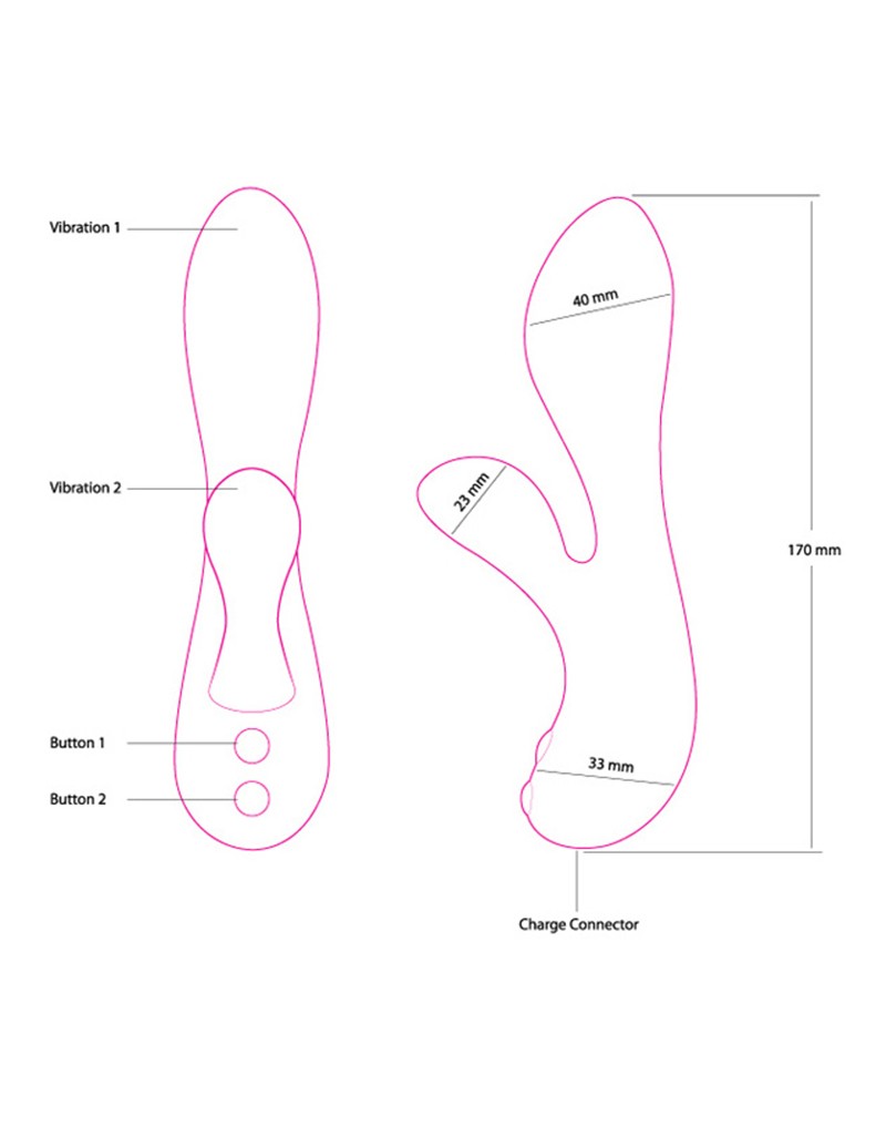 Swan - The Silver Swan - UABDSM